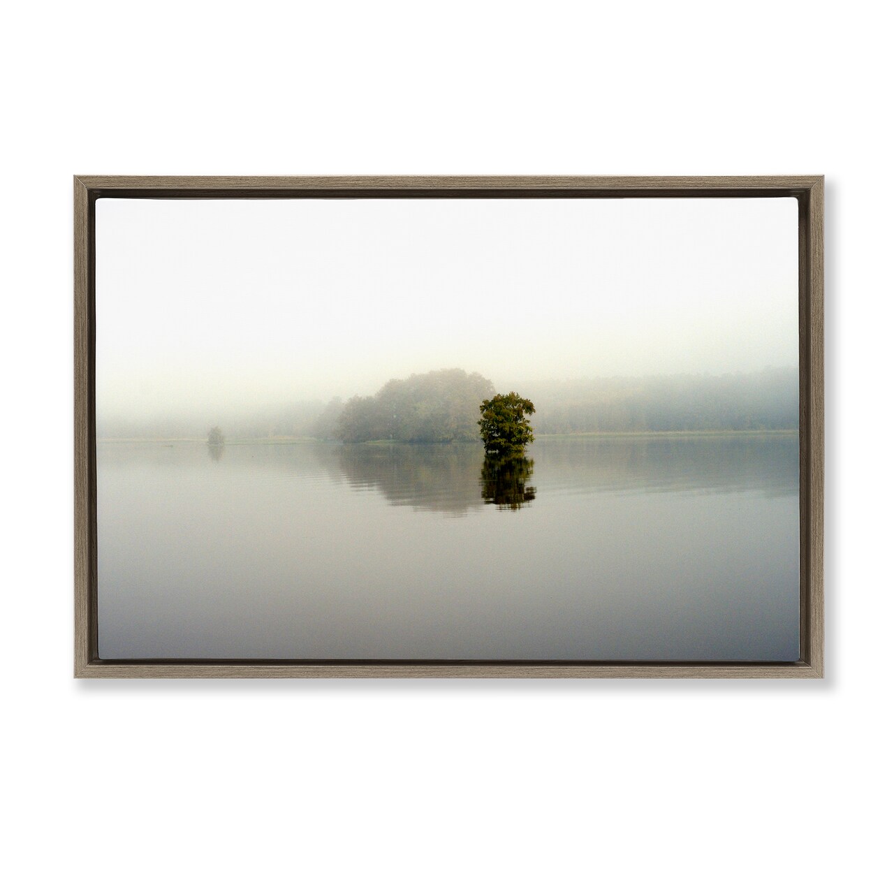 Stupell Industries Misty Lake Reflection Floating Frame, design by Gail Peck